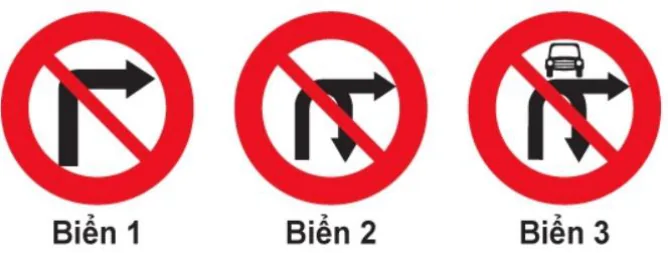 Hình câu 317