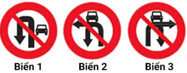 Hình câu 319